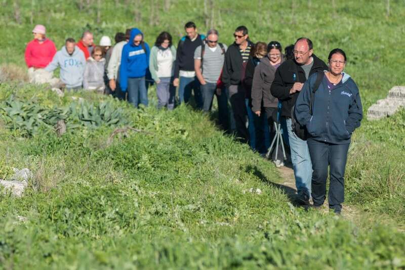 מטיילים ב גליל טיול משפחות מצפה אביב תל קדש // צילום: אייל מרגולין - ג׳יני
